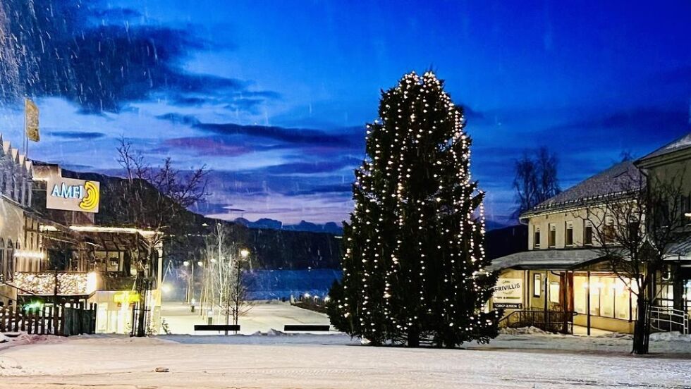 TRENGER TRÆR. Fauske kommune søker trær til å pynte opp til jul. Har du noe du vil donere eller vil at kommunen skal se på, kan du kontakte Katrine Skog i kommunen.
 Foto: Ida Bjørkquist / Fauske kommune