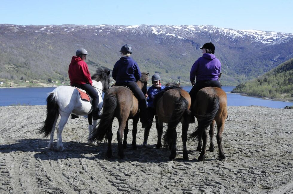 RIDETUR. Innimellom konserter og andre aktiviteter er det mulig å ta en tur på hesteryggen i Skjerstad.
 Foto: Maria Trondsen