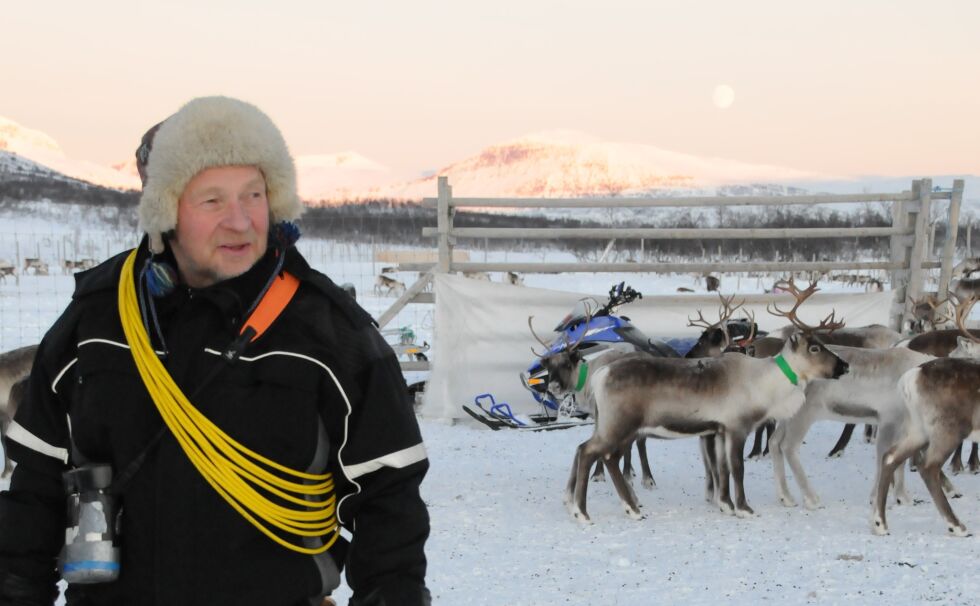 FORNØYD. Reineier Olof Anders Kuhmunen er godt fornøyd med at Direktoratet for naturforvaltning nå tar ut tilsammen to jerv i kjerneområdet for rein på Saltfjellet. Lørdag ble en gaupe felt i damme område.
 Foto: Mette Bjerkaas