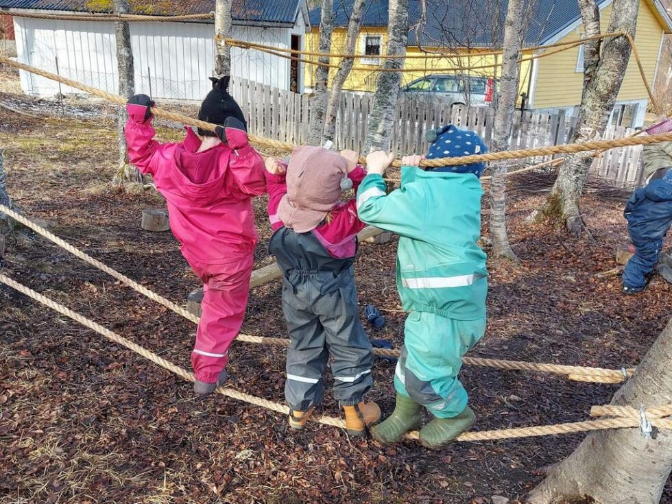 UTFOLDER SEG. I en klatrejungel får barna får utfolde seg fysisk og kreativt. Det er mange muligheter for aktiv lek, trening og sosialisering av både barna og de voksne.
 Foto: Løkta barnehage