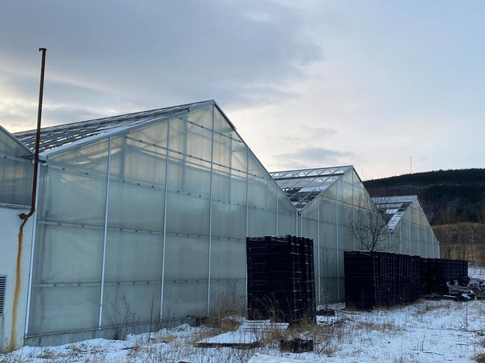 Sisoflorbygget har store skader og planlegges sanert.
 Foto: Eva S. Winther