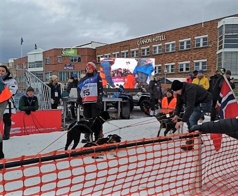GOD FØLELSE. Mia Alm (14) fra Saltdal syns det var spesielt å nærme seg målområdet, denne gangen som deltaker Finnmarksløpet. Målet var å gjennomføre, og det ble en fin bonus at hun kjørte inn til en delt 6. plass.
 Foto: Privat