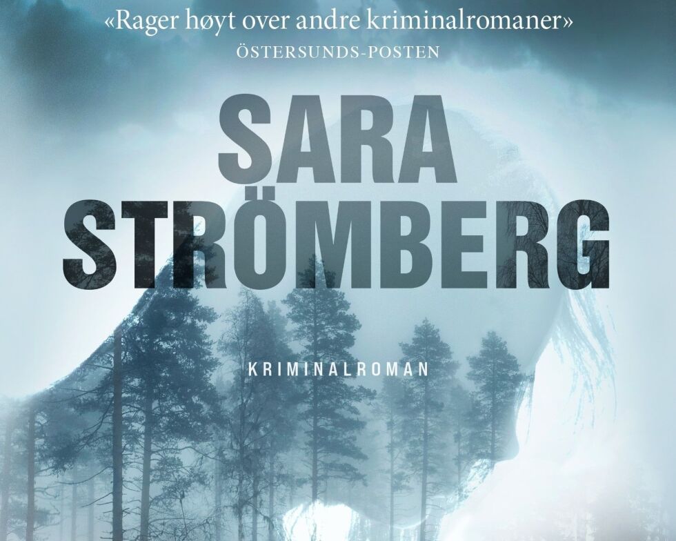 Sara Strömberg sine bøker er et godt tips for de som liker krim.