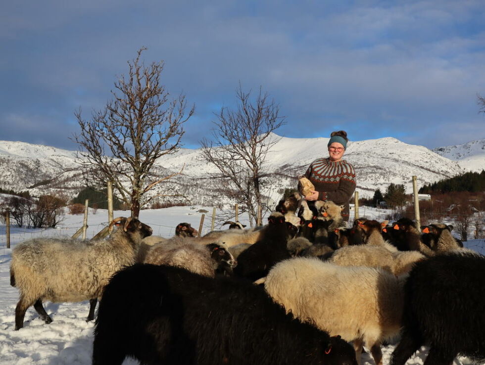 ULLGRÜNDER. Ragnhild Lie startet Lofoten Wool for 10 år siden. Hun driver også med sau, og kjenner seg igjen i mye av det som kommer fram i filmen ”Sau”. - Det er en vakker, viktig og morsom film, synes hun.
 Foto: Lofoten Wool