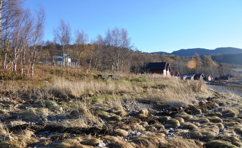 HELE OMRÅDET. Gøran og Janne Håkonsen ønsker å kjøpe området rundt sin omstridte bopel Straumøyra til 23.000 kroner. Foto: Sylvia Bredal