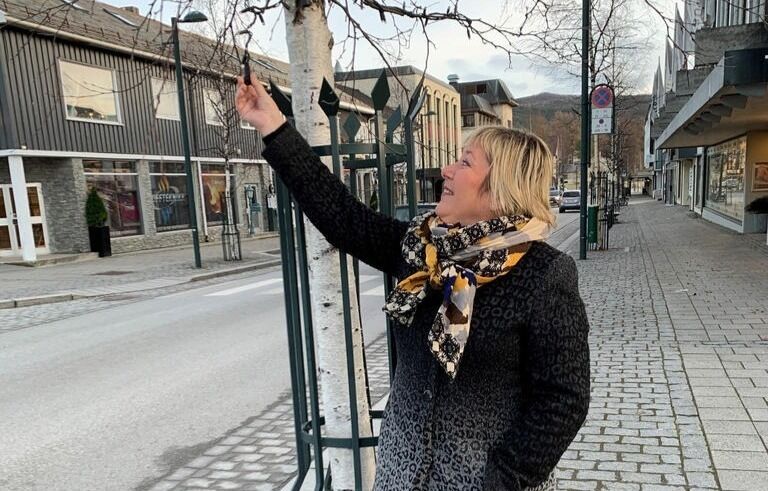 VINTERLYS. Daglig leder i Fauske næringsforum, Trine Stenvold ønsker å få vinterlysene i sentrum i orden i løpet av november.
 Foto: Frank Øvrewall