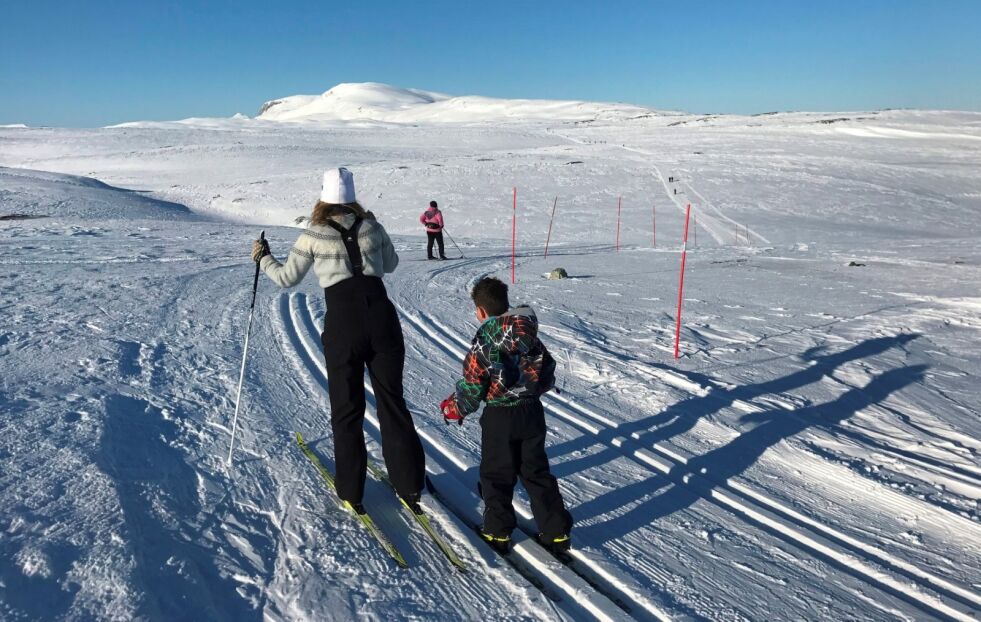 FÅR KJØRE OPP. I slutten av april i år kunne skiløpere nyte oppkjørte løyper på Beiarfjellet. Men det er en fare for at Beiarn kommune ikke får kjøre opp løyper her på nordsiden av Fylkesvei 813 i årene som kommer. Foto: Frank Øvrewall