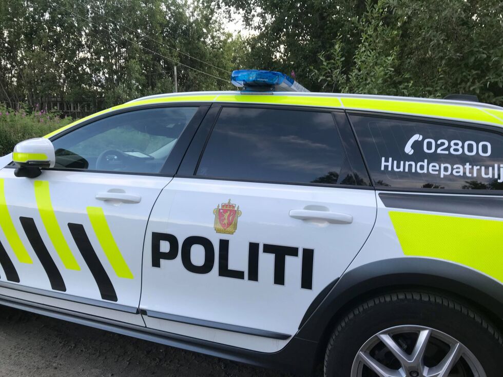 HUNDEPATRULJE. Politiet søkte med hundepatrulje da bilfører ikke var å se i nærheten av bilen som kjørte utfor veien ved Nes i Valnesfjord.
 Foto: Sylvia Bredal