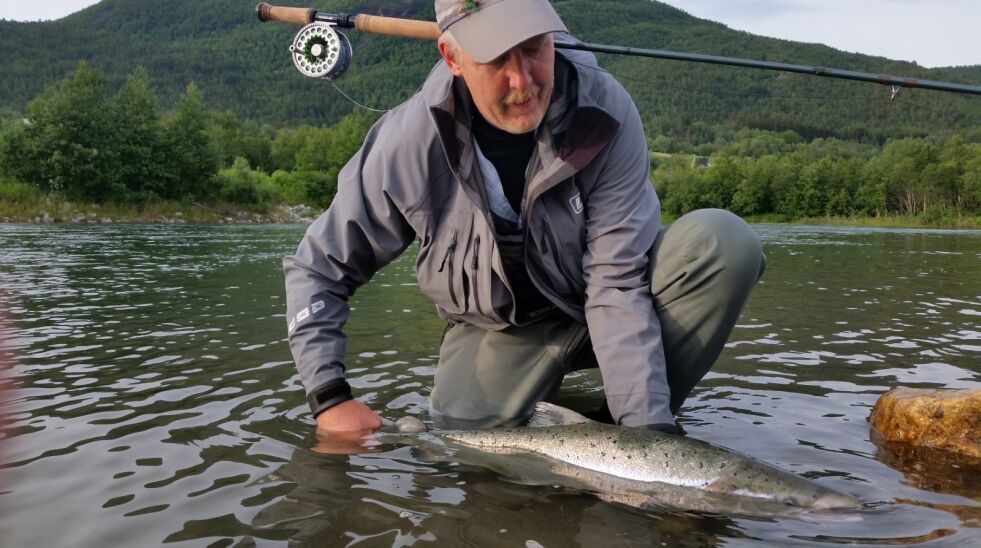 MÅ SETTE UT. Geir Stenmark er en av laksefiskerne som ofte er å se i Beiarelva. Ettersom han ikke bor i Beiarn, får han i år ikke ta av kvoten på 100 hannlaks. Her setter han ut en laks på 9,5 kilo i 2015. Foto fra Scanatura