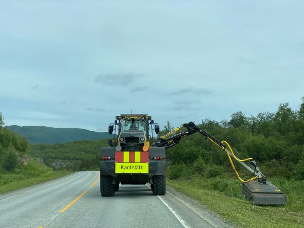 Må skoge mer langs veiene