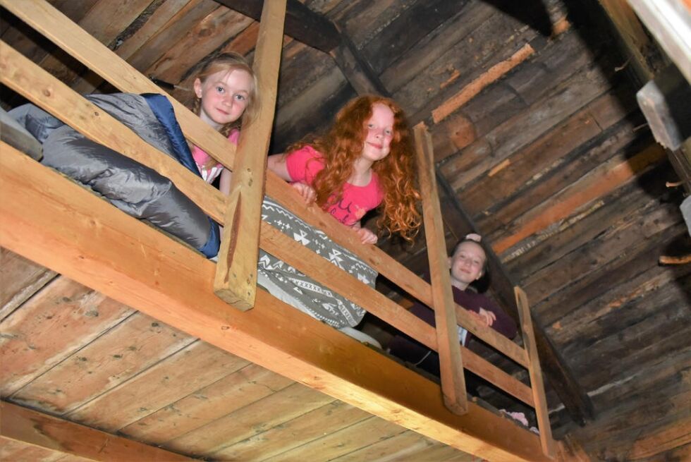PÅ HEMSEN. Liv og moro oppe på bellen eller hemsen i gammelhuset. Sara (9), Ellen (8) og Emma (12) trives godt her.
 Foto: Lars Olav Handeland
