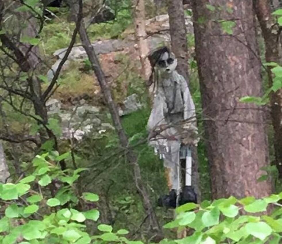 SKREMMENDE. En slags dukke henger i skogen på vei inn mot Storjordfjellkoja i Saltdal. Flere turgåere har blitt skremt, og det er mange spekulasjoner rundt hvorfor den henger der.
 Foto: Cathrine Erikstad Nilsen