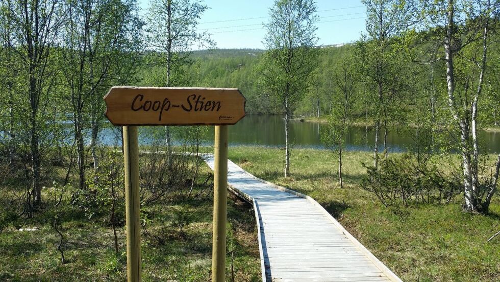 Sulitjelma turistsenter får tilskudd til å etablere naturklatrejungel ved Emmavatn i Sulis.
 Foto: Sulitjelma turistsenter