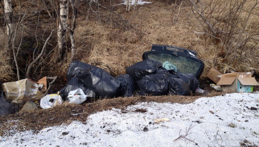 ROT OG SKROT. Noen har dumpet søppel i en grøft ved Røsvikkrysset. Der ligger det sekker med hageavfall, tomgods, papp og bakdøra på en bil. Begge foto: Janne Myhr Bjørknes