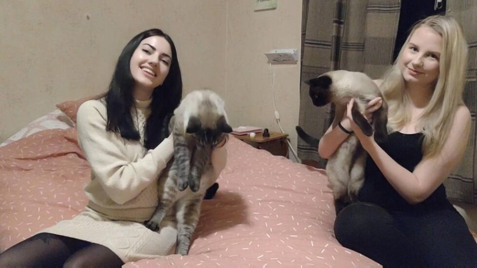 Kassandra Petsa (26) (t.v.) og Victoria Andal (21) har selv hatt katt i flere år, og mener det er helt misvisende å si at katter er selvstendige dyr som klarer seg selv. Derfor advarer de mot at voksne gir kattunger, valper og andre dyr i julegave til barn.