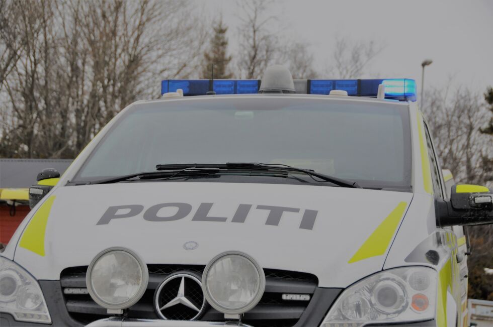 Politiet måtte sette en mann i arresten i Bodø etter en voldshenselse i Fauske natt til søndag.