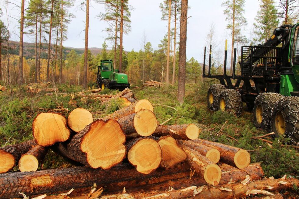 Det tas stadig ut mer skog i fylket vårt.
 Foto: Arkiv