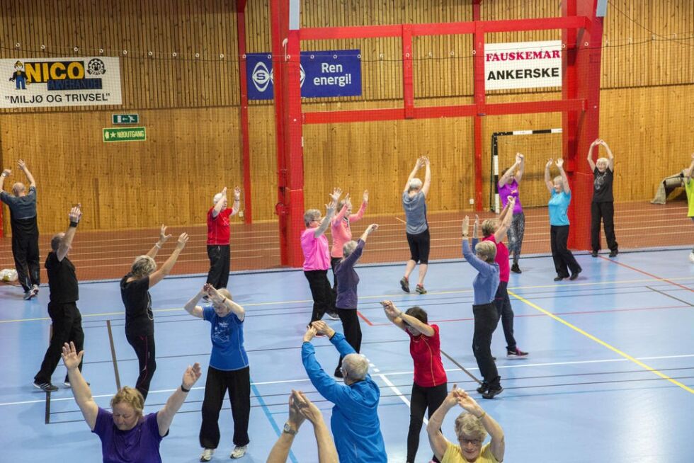 TRENING. De som er med på Åpen hall 60+ får trene balanse, utholdenhet og styrke.
 Foto: Bjørn L. Olsen