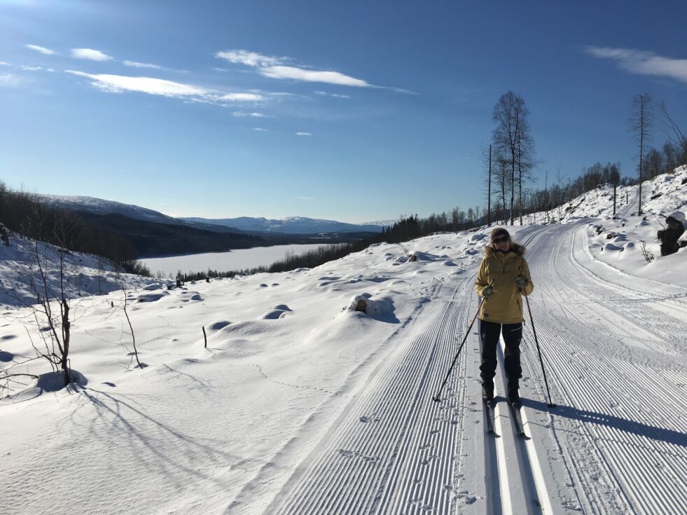 PÅSKEVÆR. Søndag var det mange som benyttet finværet til å være ute på ski. Her fra Seljeåsen i Sørfold, med utsikt ned mot Valvatnet.
 Foto: Eva S. Winther