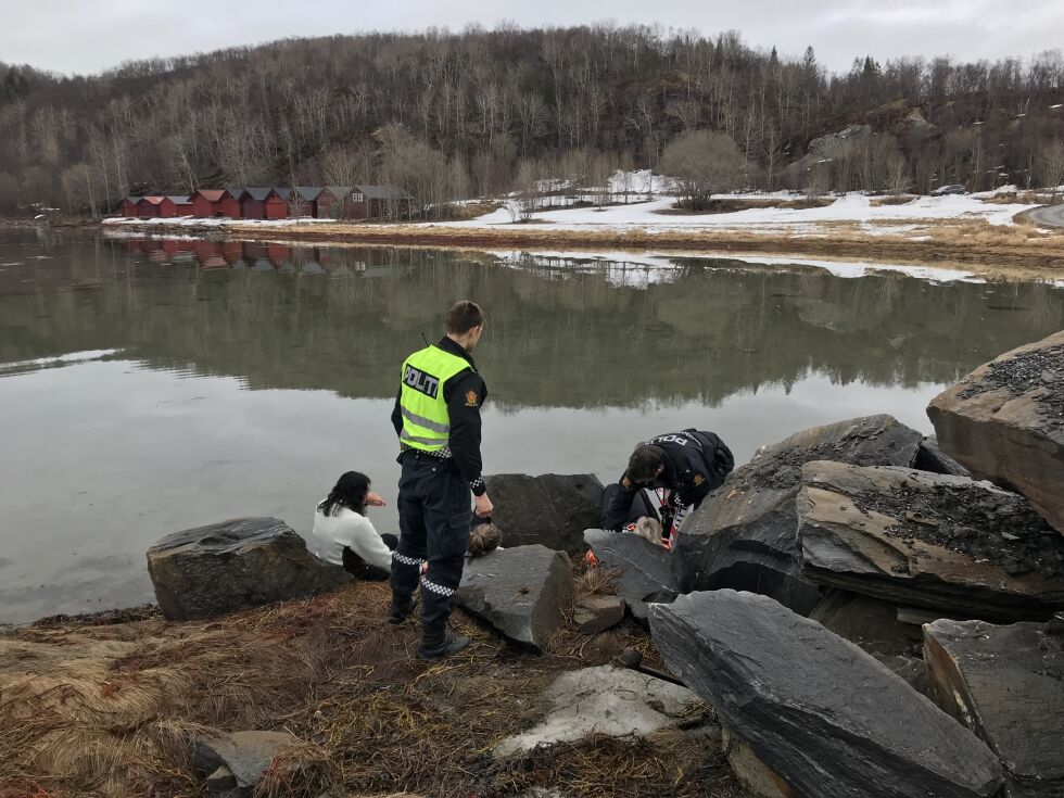 ØVELSE. Politi og øvrig redningsmannskap tar hånd om skadede ved småbåthavna i Valnesfjord under Øvelse Nord.
 Foto: Maria Trondsen