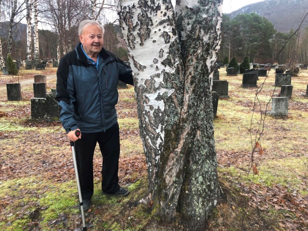 FRYKTER EN TRAGEDIE. Finn Ivar Drage har stått på for å få fjernet flere trær på kirkegården på Rognan. Det er tatt noen, men det er mange igjen. - Dette må vi få gjort ferdig, for dette er livsfarlige trær, forteller han. Begge foto: Helge Simonsen