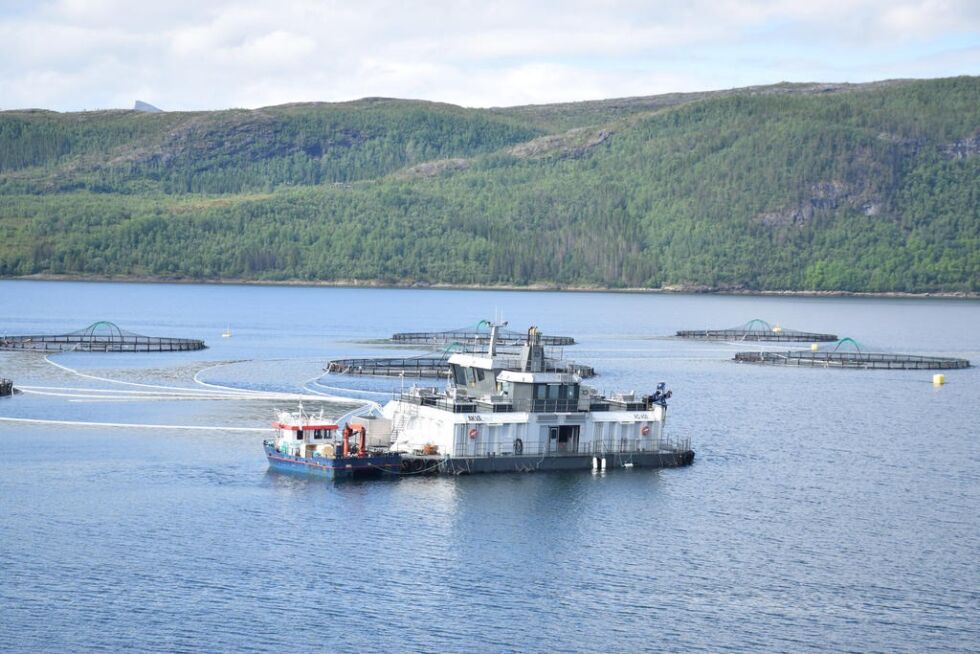 SIER NEI. Nordland Fylkes Fiskarlag sier nei til at Mowi AS skal få utvide sin lokalitet i Jektvika ved Strøksnes. Dette bildet er fra anlegget deres i Kalvik.
 Foto: Eva S. Winther