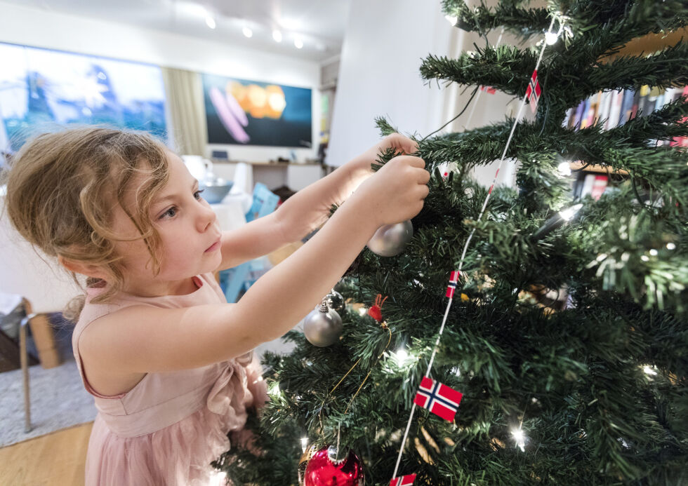 I fjor ble 200.000 juletrær importert fra Danmark til Norge.
 Foto: Gorm Kallestad / NTB