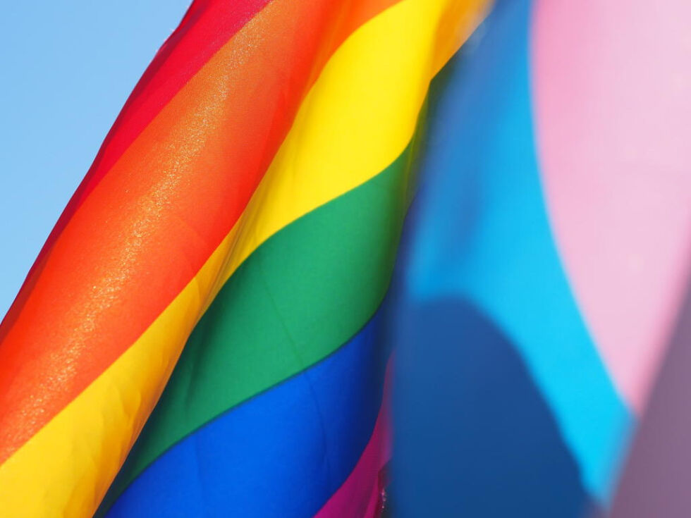 PRIDE. I 2022 var det 50 år siden homofili ble avkriminalisert i Norge. Pride er en feiring hvor man viser solidaritet for mangfold av kjønnsuttrykk, seksualitet, identitet og legninger.
 Foto: Cecilie Johnsen/Unsplash