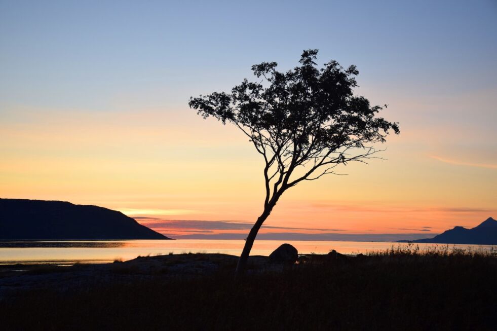 Om man benytter muligheten, kan man ha mange minneverdige naturopplevelser. Her er solnedgangen sett fra Rørstad i Sørfold. Foto: Eva S. Winther