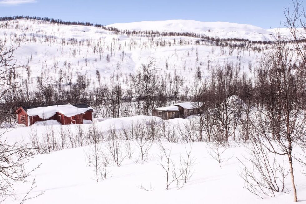 BOPLASS. På den samiske boplassen til Jonas og Anna Blind i Storstilla er det fortsatt vinter.
 Foto: Cato A. Hultmann