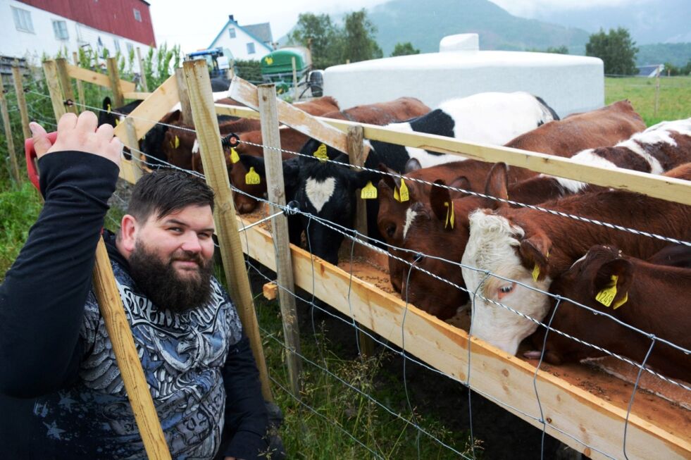 UTE I ALL SALGS VÆR. Norsk storfe er hardføre, og denne gjengen lot seg ikke plage av at det høljet ned på Leivset. Men sånn er det å jobbe på gårdsbruk, det er alltid noe å gjøre, og man må nesten bare ta det som en livsstil. Disse ungdyrene skal sørge for melk og kjøtt til norske forbrukere.