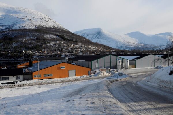 Splitter nytt selskap har store planer for smoltproduksjonen i Sørfold
