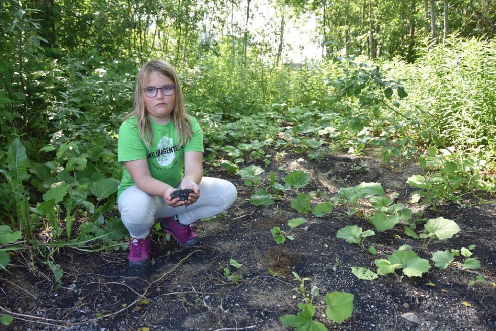UTING. Ane Kirstine Kyed (9) synes ikke noe om at det ligger mengder av granulat i skogen like ved Valnesfjord skole og kunstgressbanen. - Dette er skadelig for naturen.
 Foto: Sylvia Bredal