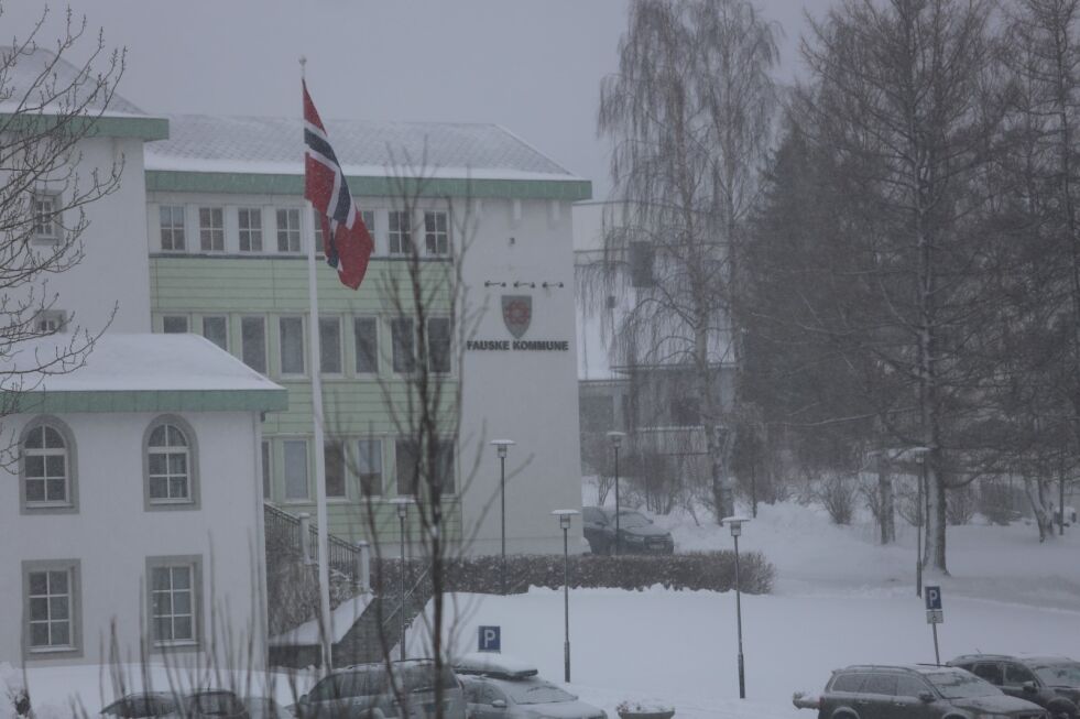 NORDENS DAG. Det flagges i Fauske torsdag 23. mars 2017, fordi det er Nordens dag. Foto: Bjørn L. Olsen