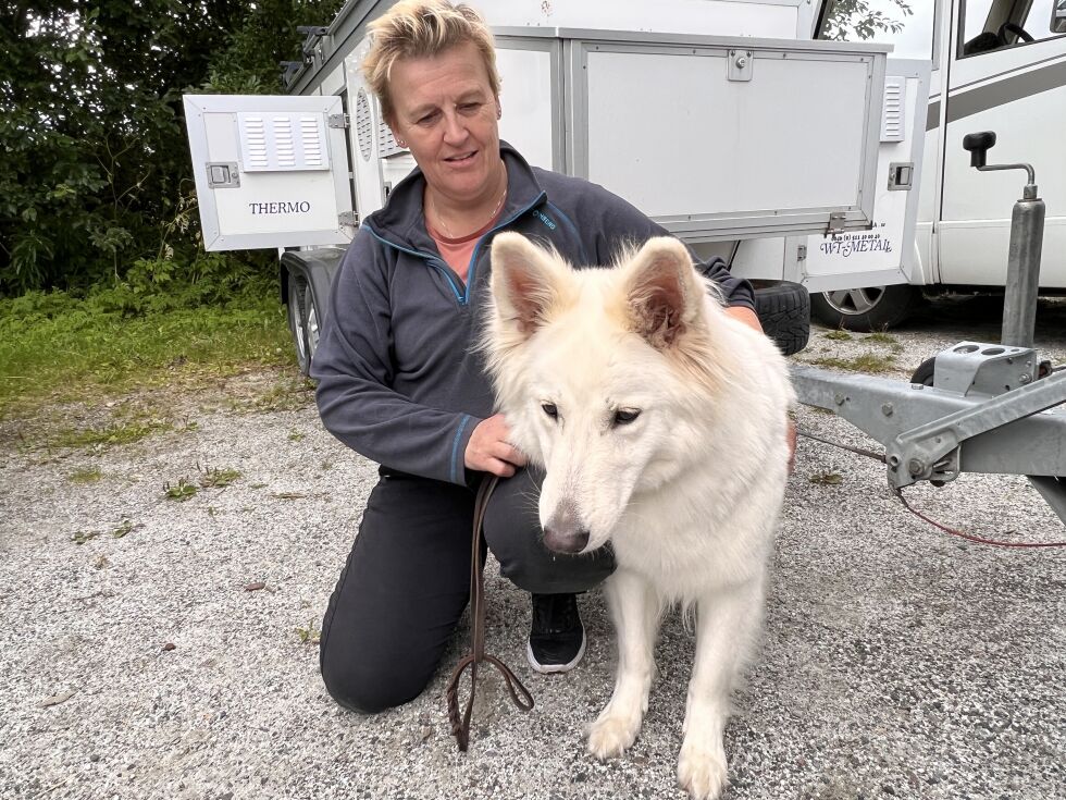 Anne Skei med sin champion Java er på hundeutstilling på Fauske i helgen.
 Foto: Espen Johansen