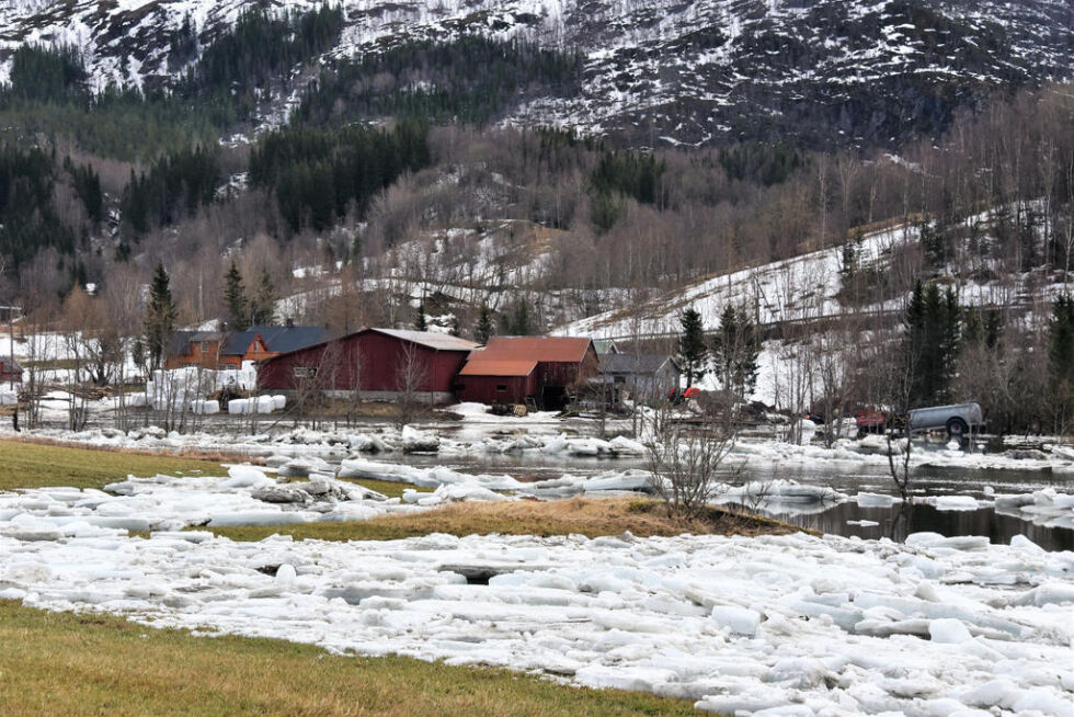 MOT GÅRDENE. Isen i Beiarelva har tatt kurs mot denne gården.
 Foto: Lars Olav Handeland