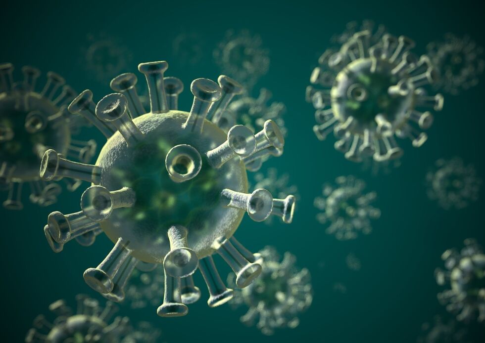 SÆRPREG. Slik vil koronaviruset se ut under et sterkt mikroskop. De særpregede reseptorene gir viruset "stråler" som en sol eller krone, derfor det litt ufortjent fine navnet korona.