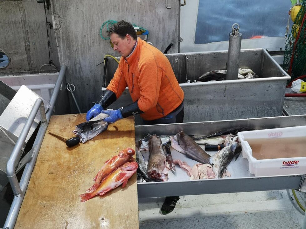 FØSTE GANG. Tirsdag prøvde byfisker Bård Larsen for første gang å dra til Rognan med fangsten. Det ga mersmak både for ham og saltdalingene.
 Foto: Robert Jentoft