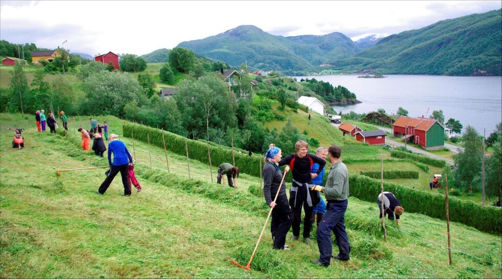 LANDLIV. Mandag er dagen for bonderomantikk, i alle fall på Tv2 nå i høst. Der kan man følge bønder og friere i jakten på kjærligheten, samt se bilder fra flotte steder i Norge. Illustrasjonsfoto: Matthias Streit.