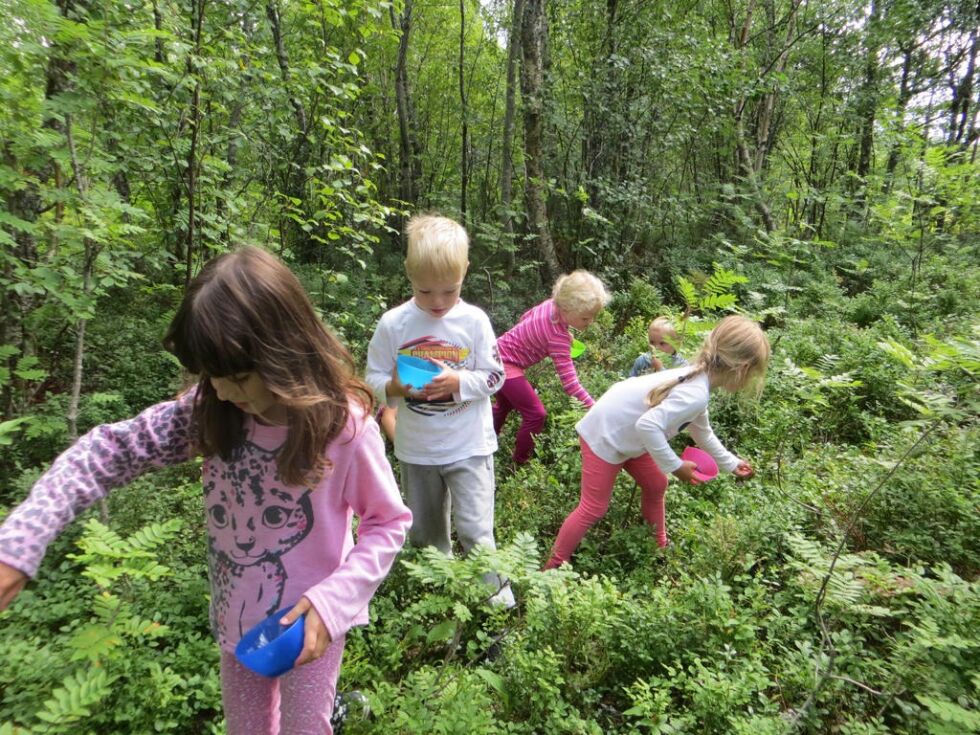 IVRIGE BÆRPLUKKERE. Liam, Natalia, Mali, Mia og Fadeis er på leting etter bær i skogen.
 Foto: Løkta barnehage