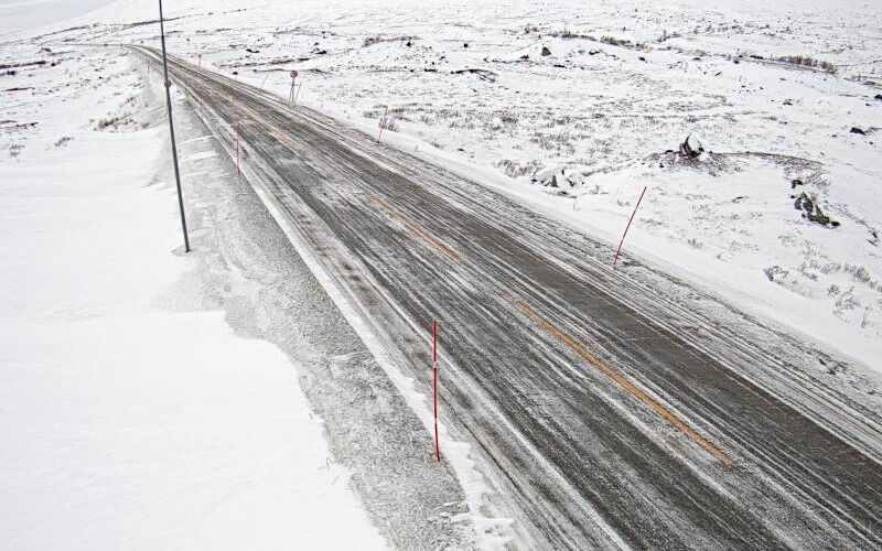 Det meldes om mye rein gående langs veien på Saltfjellet mandag ettermiddag.
 Foto: Statens vegvesen