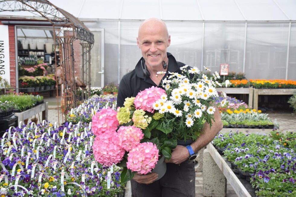 BLOMSTRER. Tor Haugberg har hendene fulle ved Skogholt gartneri for tiden. Mange vil kjøpe planter og utstyr til hagene, og de har åpent hver dag.
 Foto: Eva S. Winther