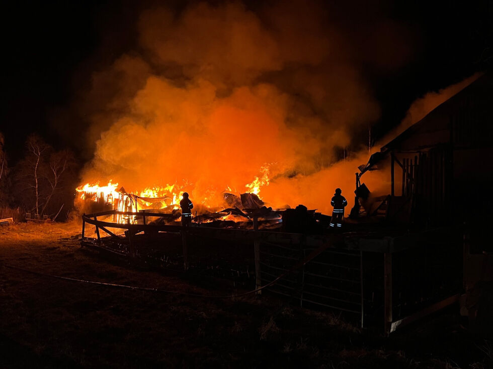 BRANT NED. Fjøset i Beiarn var overtent raskt og brant ned til grunnen.
 Foto: Politiet