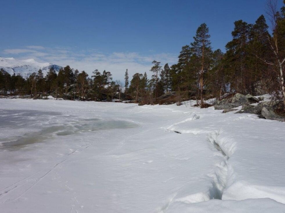 LANGT NED. Normalt sett ligger isen slett på Tjernfjelltjønna i Saltdal. Men etter at det ble startet opp med sprenging av Tjernfjelltunnelen rett under vannet for halvannet år siden, har vannstanden sunket dramatisk. Nå fryktes det at det er gjort uopprettelige skader i området som er vernet. Foto: Manfred Hüttepohl