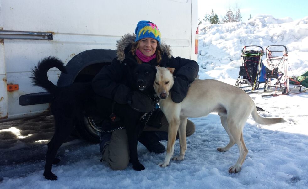 PÅ LANG KJØRETUR. Christine sammen med Piko og Spike på tur til Finland for å delta på hunderitt ettersom Pasvik Trail ble avlyst. To sønner av Spike er også med. Foto: Leif Wilhelmsen