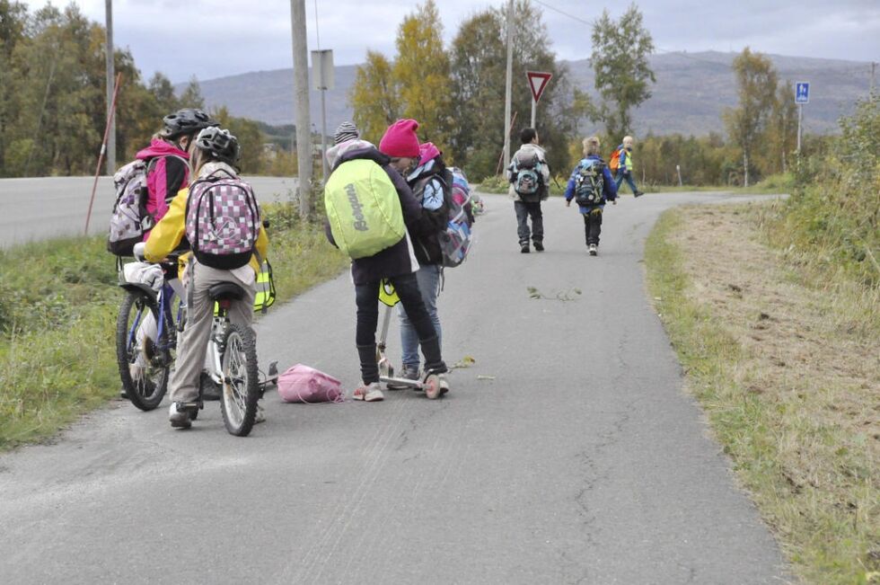 SUNN SKOLEVEI. Målet med Beintøft er å inspirere flere til å gå og sykle til skolen. Det er bra for helsa, gir tryggere skoleveier, mindre utslipp og ikke minst er det bra for naturen vår,
 Foto: Foto: Sylvia Brdal (Arkiv)