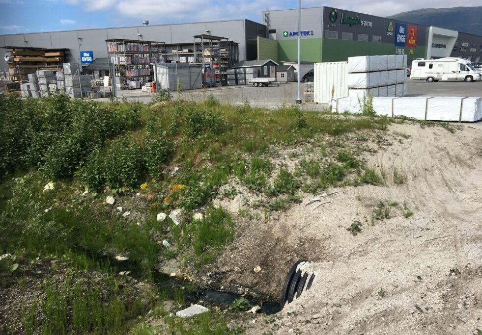 ÅPEN KLOAKK. Her bare fem meter fra parkeringsplassen ved Handelsparken ligger det et åpent rør hvor kloakken kommer ut. Foto: Arild Bjørnbakk