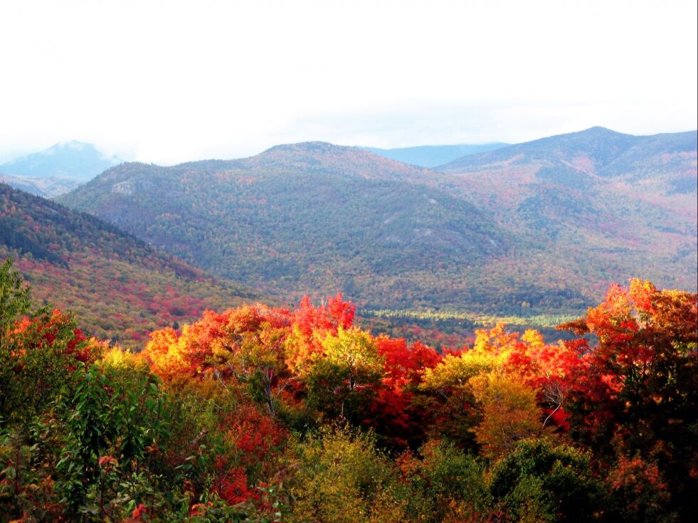 Høsten er naturens mest fargerike årstid.
 Foto: Someone35 - Wikimedia commons