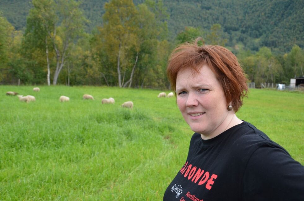 SÅ GAUPE. Ann Guro Hansen har konstatert at gaupa holder til i området der hun har sau på beite. Arkivfoto: Sverre Breivik
