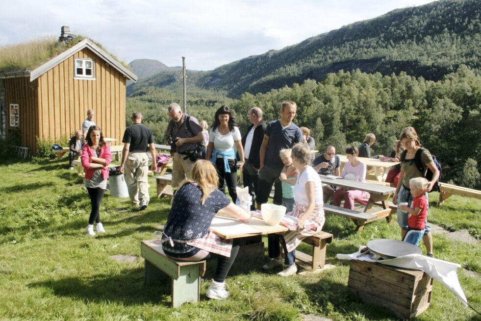 TRENGER FLERE. Husmannsplassen i Kjelvik er et av Nordlandsmuseets avdelinger der de trenger flere sommerverter. Arkivfoto: Maria Trondsen